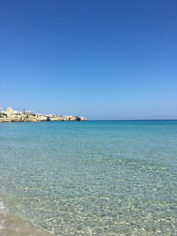 Villa Elia - Tenuta Le Scerze - Salento Homes 博尔加涅 外观 照片